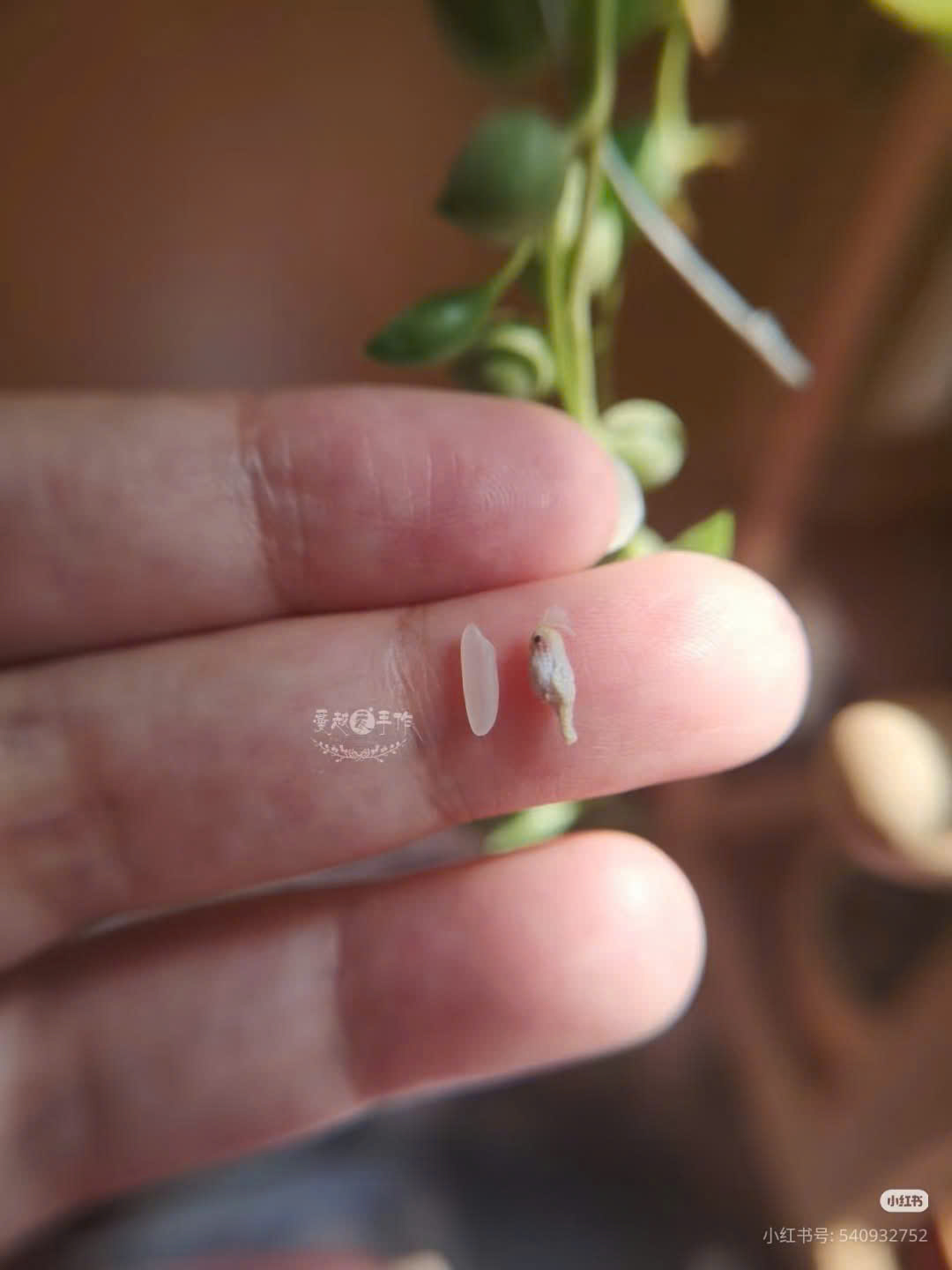 Trong thế giới đan móc, cụm từ “pháp sư Trung Hoa” đã trở thành một meme quen thuộc – vừa hài hước, vừa đầy sự ngưỡng mộ. Nó dùng để chỉ những nghệ nhân Trung Quốc có khả năng tạo ra tác phẩm móc siêu thực, nhìn như dùng phép thuật chứ không phải sợi len bình thường nữa. Cùng Lenbiz tìm hiểu lý do cái tên này ra đời và lan truyền mạnh trong cộng đồng lenbiz nha!